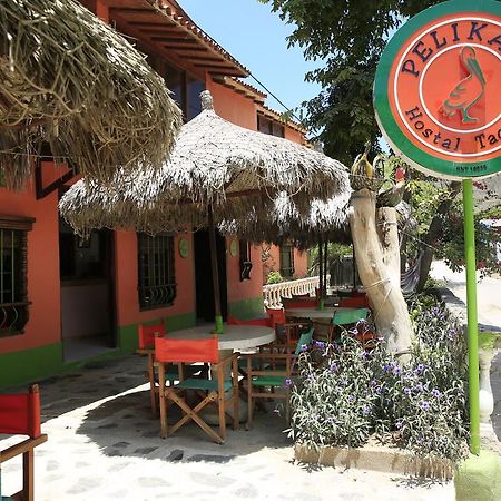 Hostal Pelikan ตากังกา ภายนอก รูปภาพ